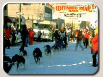 Iditarod race start in Anchorage